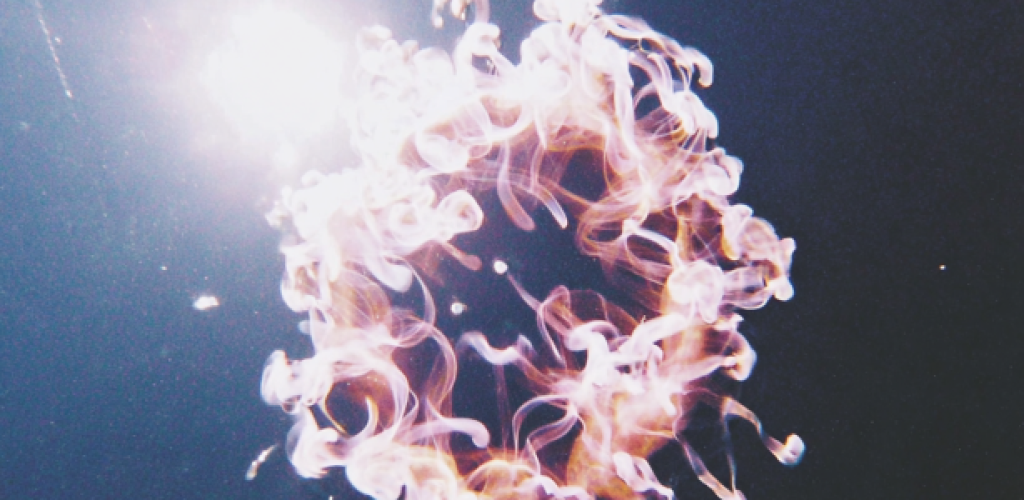 mi_1603_13826_plasma_energy_ball_--chaos_30_--ar_11_--seed_22_93a960fd-34ad-4326-b1d9-481f254901d9_0